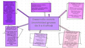 Mapa Mental Desarrollo Motriz