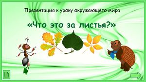 10 урок Что это за листья