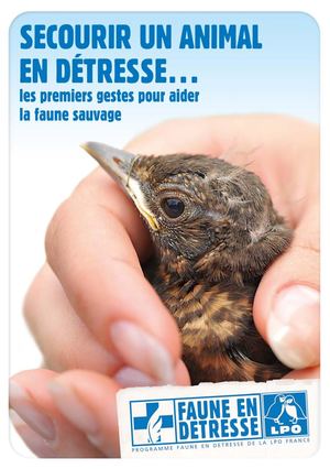 Secourir Animal Detresse 2021