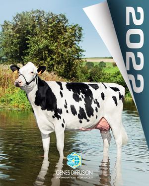 DAIRY catalogue august 2022