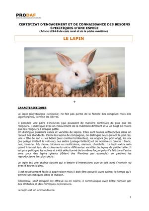 Certificat Prodaf Engagement Connaissance Besoins Specifiques Lapin
