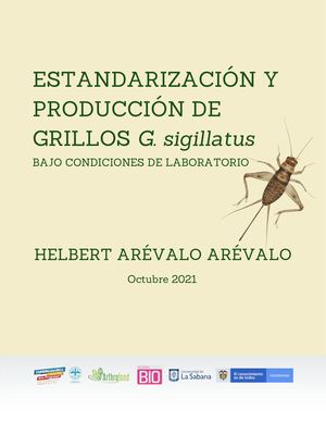 Estandarización De Cría De Grillos