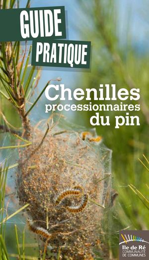 Guide Pratique Chenilles