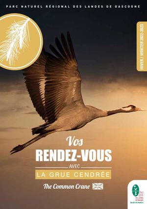 Rdv Avec La Grue Cendrée 2022 2023 | Parc naturel régional des Landes de Gascogne