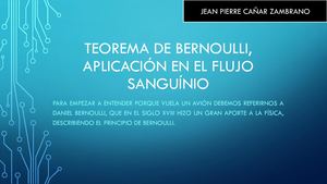 Teorema De Bernoulli, Aplicación En El Flujo Sanguíneo