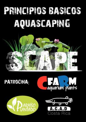 Aquscaping 2022