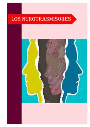 Diferencia Entre Neurotransmisor Y Hormona