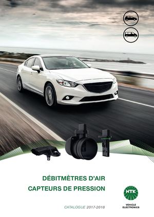 Capteurs De Pression et Débimètres D'air