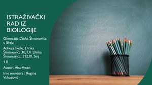 Biologija, 1 B Ana Vrcan