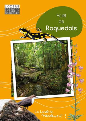 Roquedols Ens Version Numerique