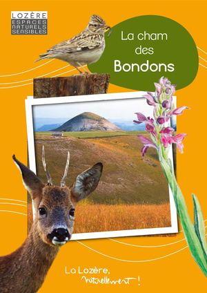 Bondons Ens Version Numerique