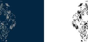 EL ÚLTIMO DE SU ESPECIE. BETO FORMENTO