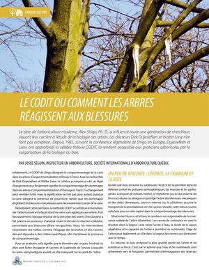 Le CODIT ou comment les arbres réagissent aux blessures