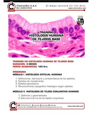 Programa Training Histologia Humana De Tejidos Base