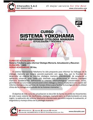 Programa Yokohamadocx