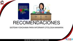 Recomendaciones Yokohama