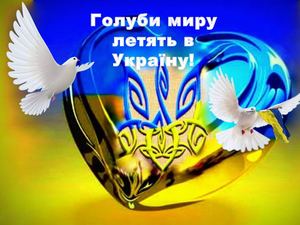 голуб миру