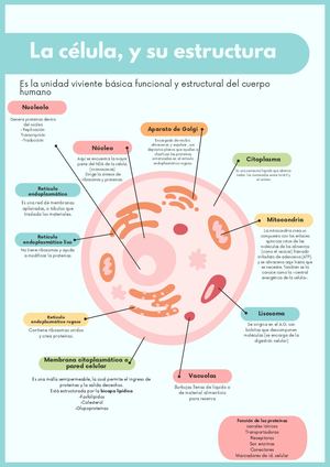 Portafolio Tema 2 Generalidades De Citología Gabrielle Arteaga