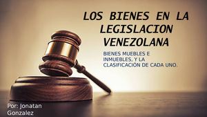 Los Bienes En La Legislación Venezolana