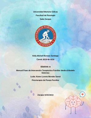 Manual Fases De La Terapia Sistémica