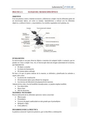 Manejo Microscopio Optico Papel