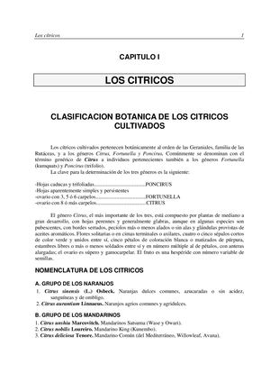 Citricos