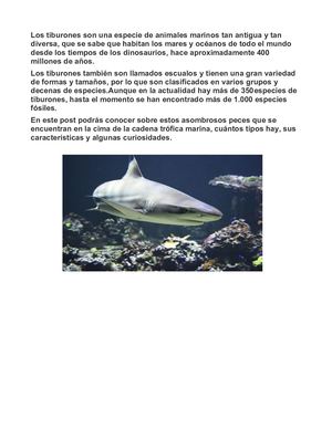 Curiosidades de los tiburones.