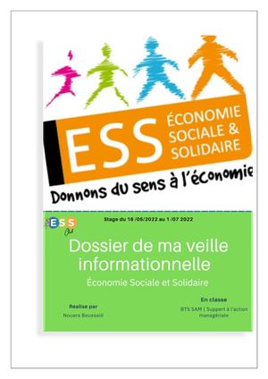 Dossier Sur La Veille Informationnelle Nouara 2 4