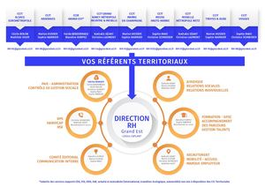 Infographie Organisation RH 10/2022