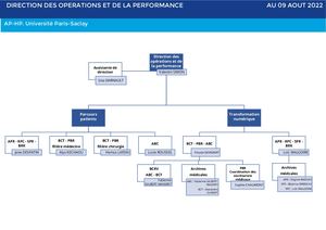 Organigramme DOP AP-HP. Université Paris-Saclay