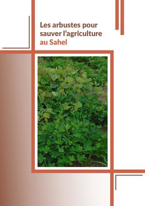 Les Arbustes Pour Sauver L'agriculture Au Sahel