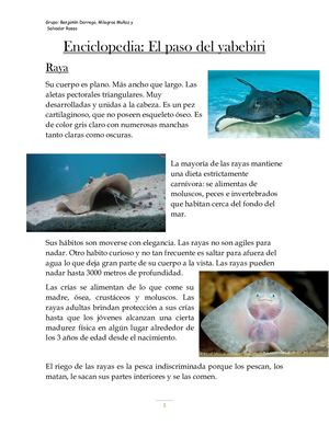 Pequeña enciclopedia de animales "El paso del Yabebirí"