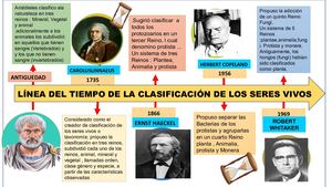 Linea De Tiempo Clasificacion De Los Seres Vivos