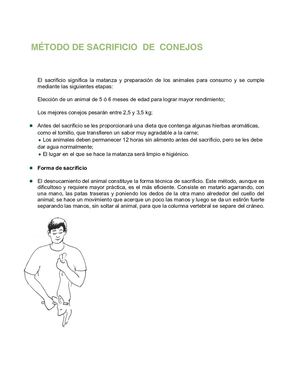 Método De Sacrificio De Conejos