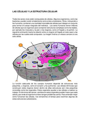 Las Células Y La