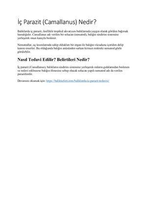 Ic Parazit Nedir