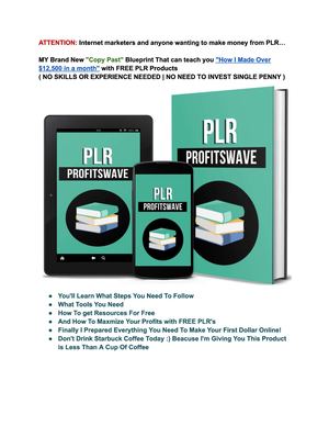 Calaméo - Plr Profit Wave
