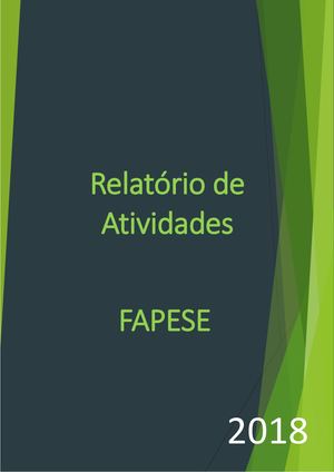 2018 Relatório de Atividades