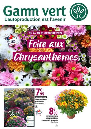 Foire aux Chrysanthèmes