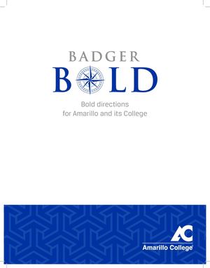 Badger Bold - Case For Support