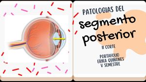 Patologia Del Segmento Posterior 2 Corte
