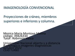 Proyecciones De Craneo, Miembros Superiores E Inferiores, Columna
