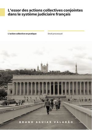 L'essor Des Actions Collectives Conjointes Dans Le Système Judiciaire Français Compressed