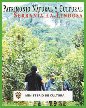 Arte Rupestre Cerro Azul Guaviare