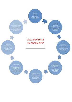 Ciclo De Vida De Un Documento 8 Pasos (1)