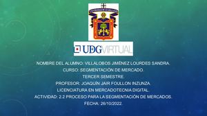 Proceso Para La Segmentación De Mercados