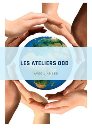 Ateliers Objectifs de Développement Durable