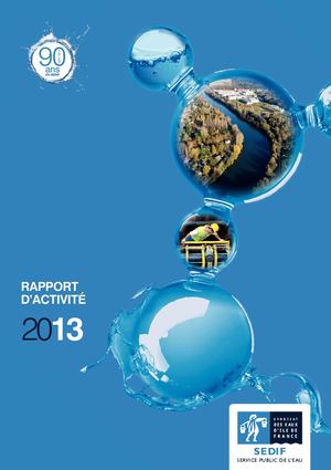 Rapport annuel d'activité 2013
