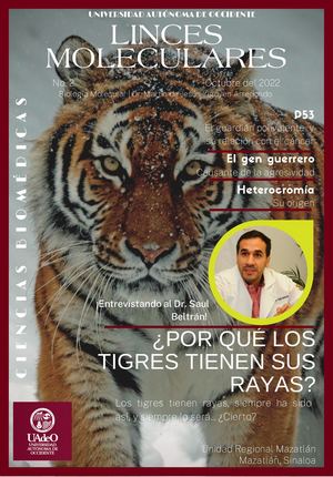 Linces Moleculares No. 2