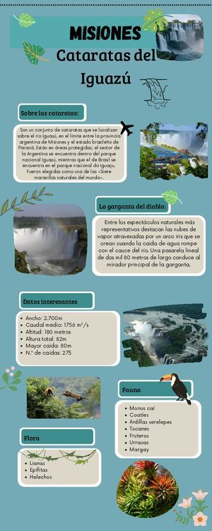 Infografía sobre Cataratas- Fulco